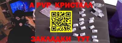 шишки Изобильный