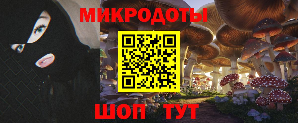 Галлюциногенные грибы мицелий Дмитров